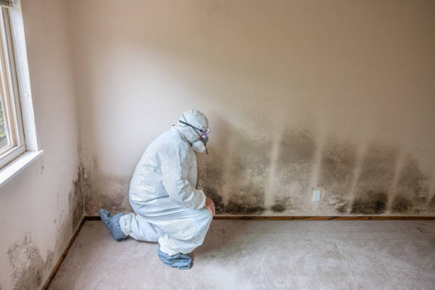 Best Post-Remediation Services in Dewey, OK
