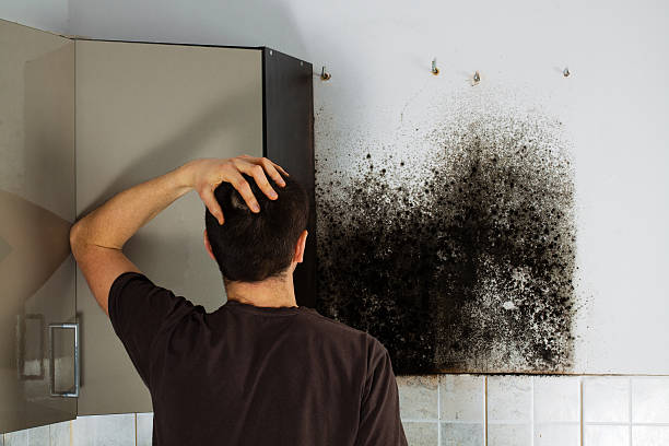 Reliable Dewey, OK Mold Remediation Solutions